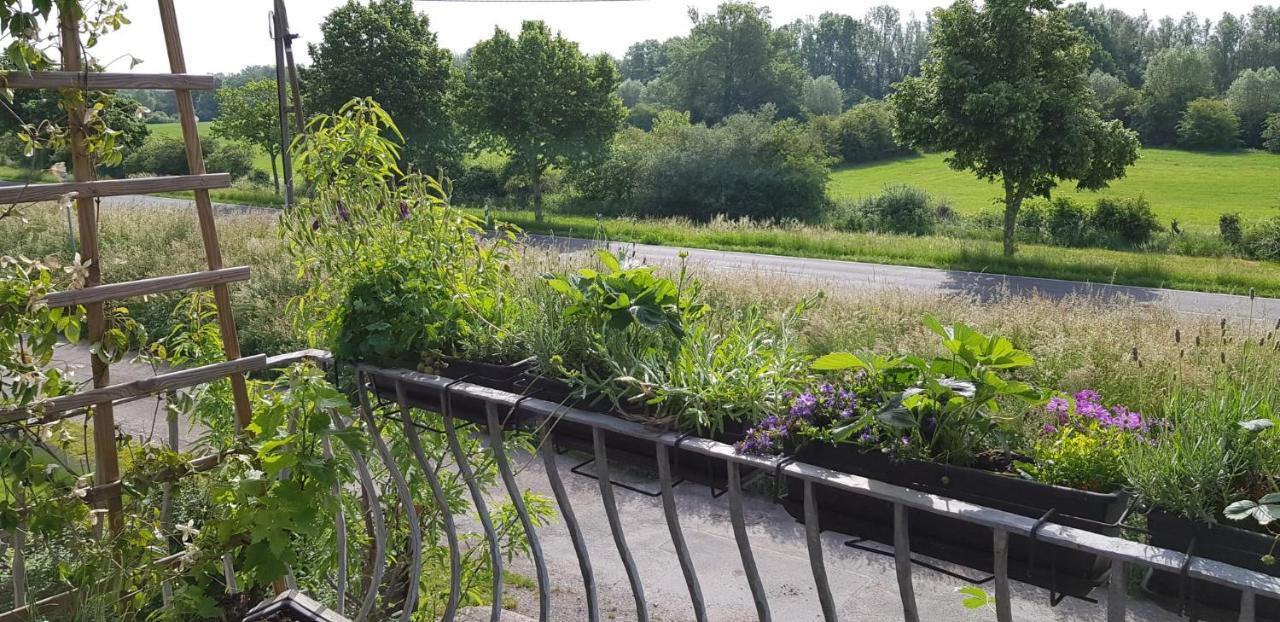 Niederrhein * Wesel (North Rhine-Westphalia)